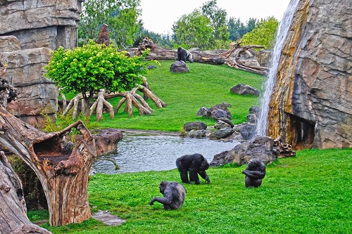 Bioparc Valencia - 1 dia